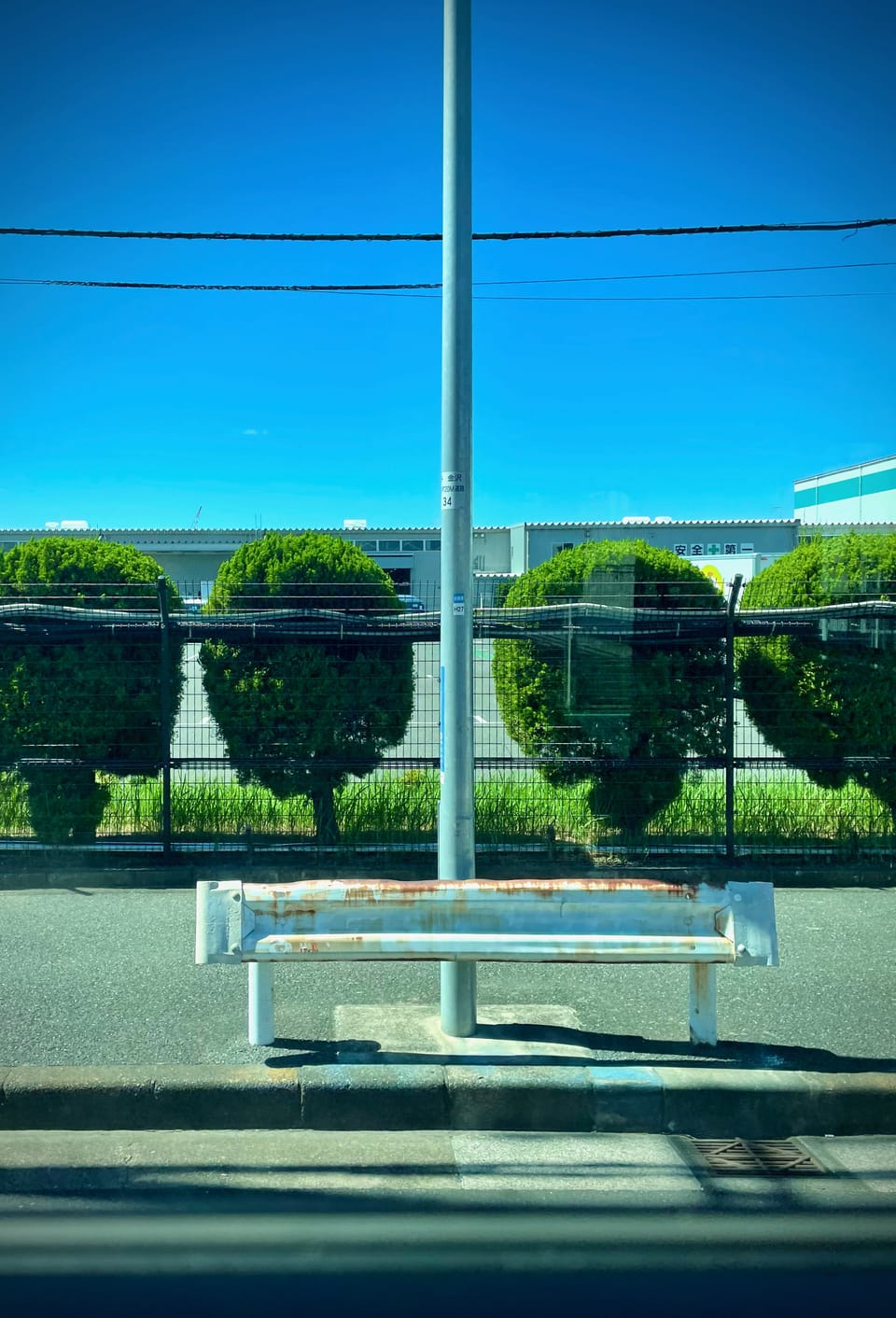 City Trees | Yokohama